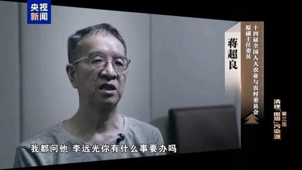 娱乐圈老虎_(娱乐圈)老虎圈养的女孩_老虎圈论坛